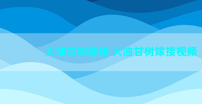 大油甘树嫁接 大油甘树嫁接视频